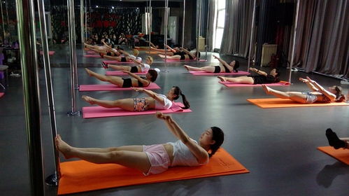 洛陽鋼管舞培訓(xùn) 鋼管舞的魅力無可抗拒