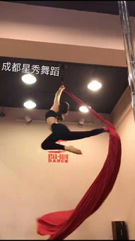 邛崍鋼管舞培訓(xùn)學(xué)校 演繹完美鋼管舞 星秀鋼管舞培訓(xùn)學(xué)校