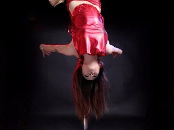 圖 寶安坪洲專業(yè)的鋼管舞培訓(xùn)學(xué)校 深圳文體培訓(xùn)