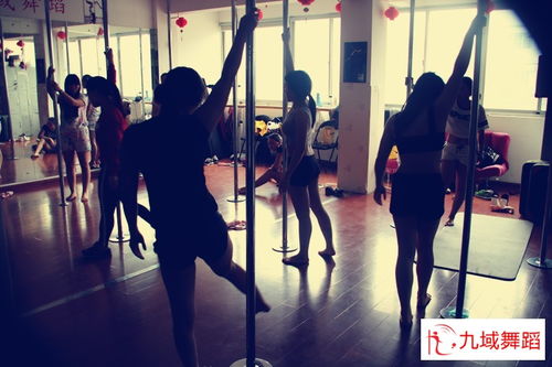 探秘?fù)P州九域舞蹈,鋼管舞者的學(xué)習(xí)和生活
