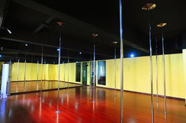 成都鋼管舞 專業(yè)鋼管舞培訓(xùn)