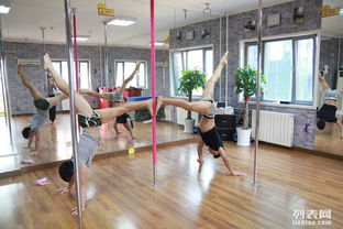 圖 北京學鋼管舞 來江尚專業(yè)培訓 零基礎包教會 北京其他培訓