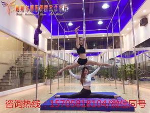 杭州戴斯?fàn)栁璧概嘤?xùn) 文體交融的鋼管舞藝術(shù)之旅