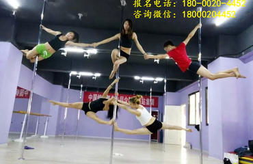 南昌專業(yè)鋼管舞培訓與職業(yè)教練班——舞動夢想，鑄就專業(yè)舞臺